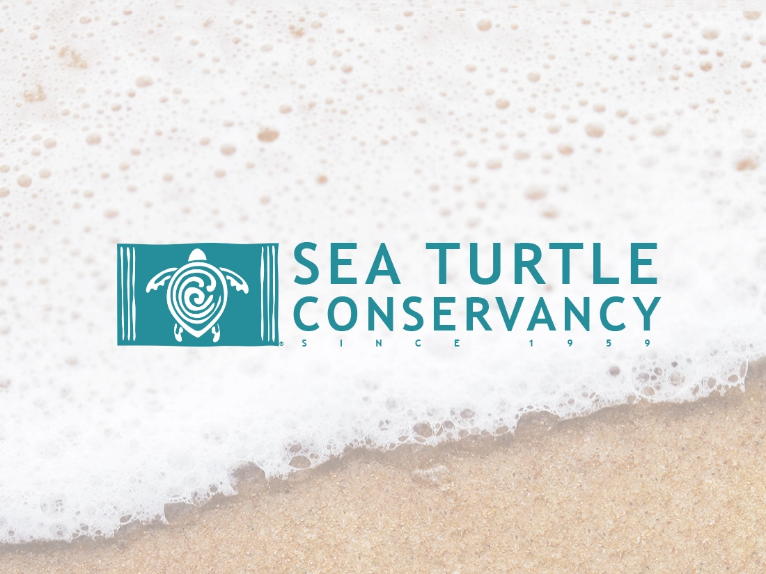 Sea Turtle Conservancy