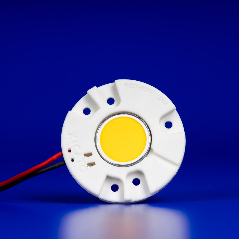 C.O.B LED MODULE