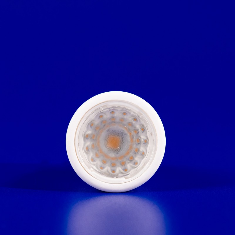 12V EmeryAllen MR8 Retrofit Lamp