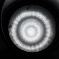 Optic Lens - Frosted Lens